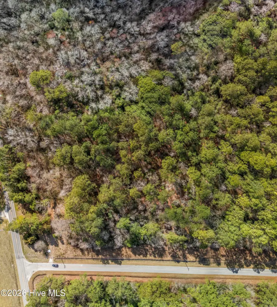 1r Page (crabtree) Road, Burgaw, NC 28425 - #3