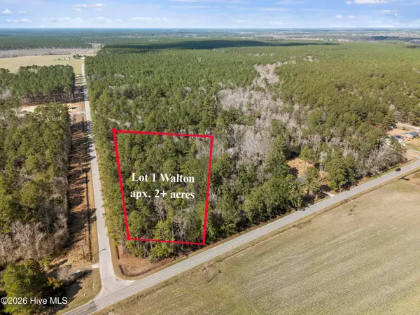 Lot 1 Page Rd (walton Lot 1) Court, Burgaw, NC 28425