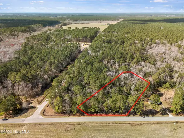 Lot 2 Malpass (walton Lot 2) Corner, Burgaw, NC 28425