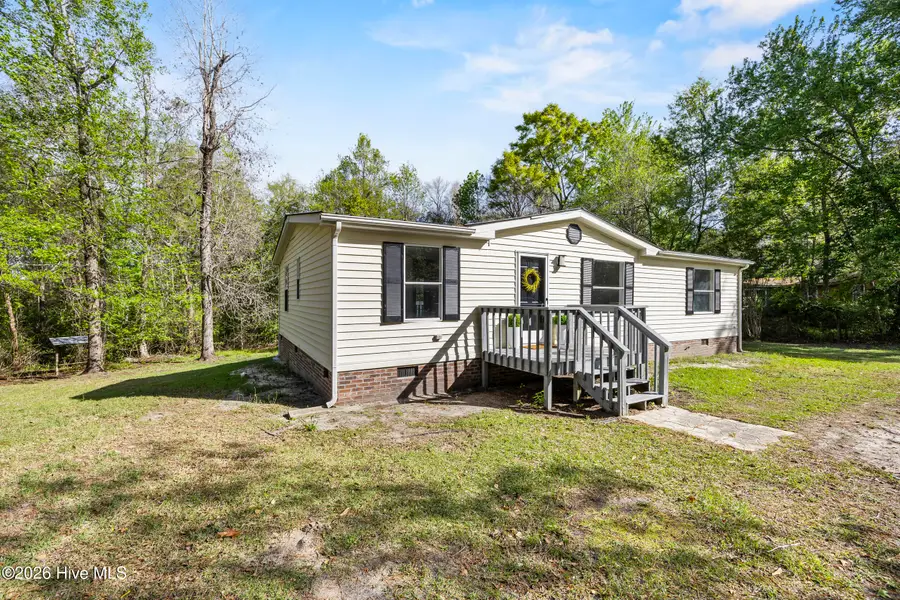 410 Pond View Lane, Hampstead, NC 28443 - #2