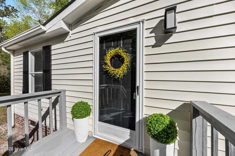 410 Pond View Lane, Hampstead, NC 28443 - #3