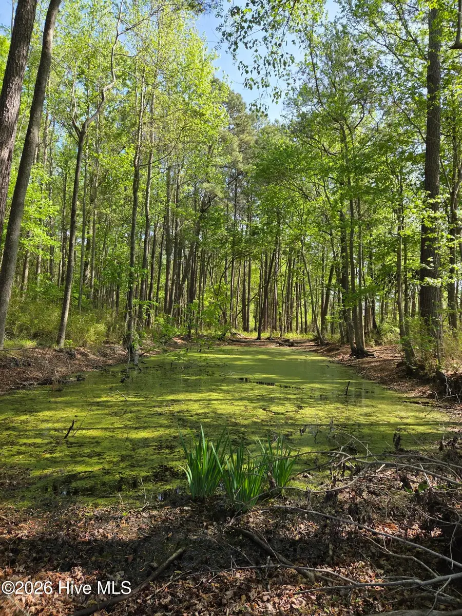 903 Macedonia Road, Edenton, NC 27932 - #2