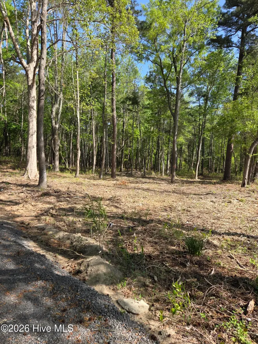 903 Macedonia Road, Edenton, NC 27932 - #3