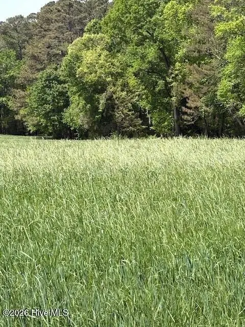 000 Leon Road, Nashville, NC 27856 - #3