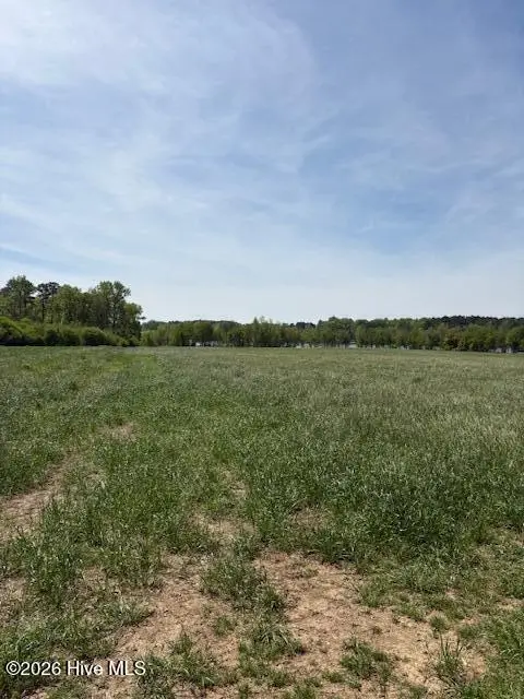 Tract 1 Leon Road, Nashville, NC 27856