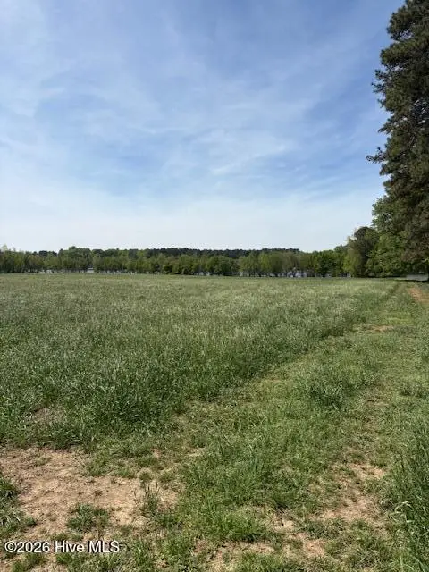 Tract 1 Leon Road, Nashville, NC 27856 - #2