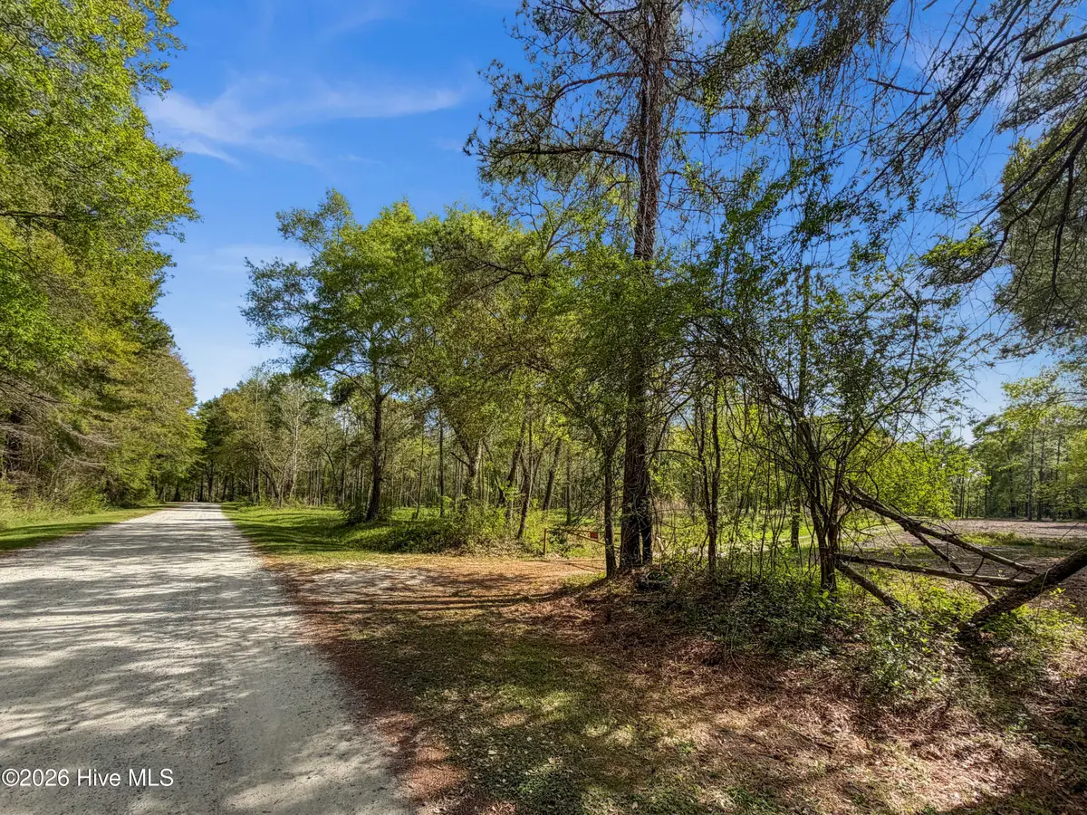 196 Quiet Water Drive, Chinquapin, NC 28521 - #1