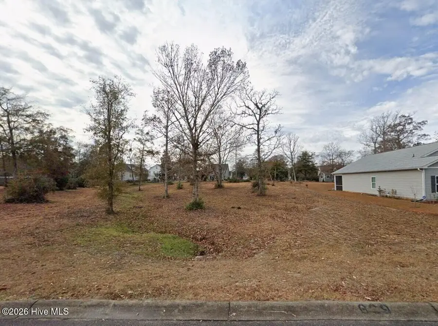 669 Squirrel Run Drive Sw, Supply, NC 28462 - #2