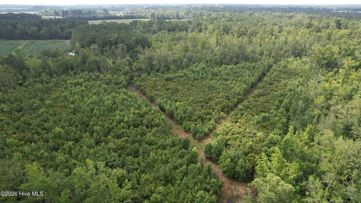 421 Riverneck Road, Columbia, NC 27925 - #1