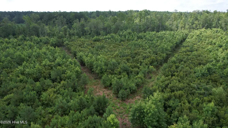 421 Riverneck Road, Columbia, NC 27925 - #2