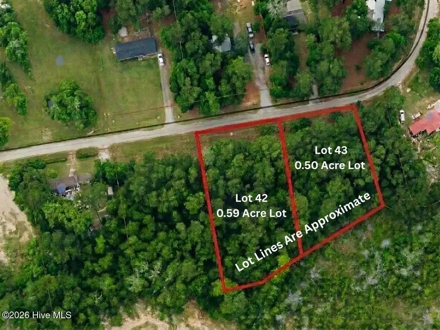 42 Pond View Circle E, Hampstead, NC 28443 - #2