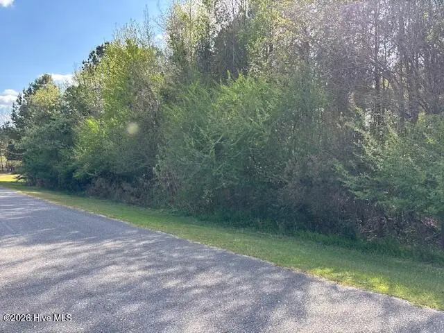 0 Country Club Drive, Wallace, NC 28466 - #2