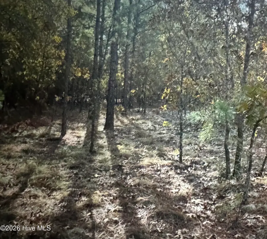 Tbd Fox Road, Marston, NC 28363 - #2