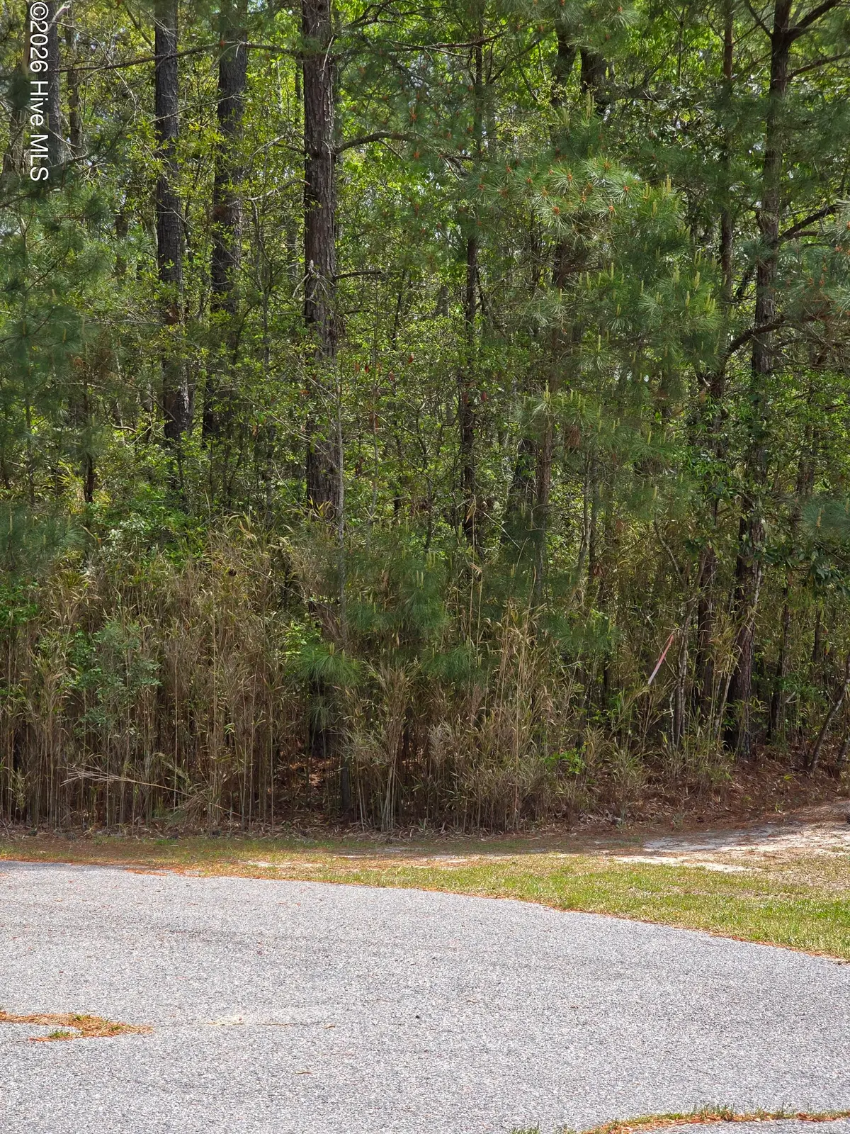 110 Kernel Court, Grandy, NC 27939 - #1