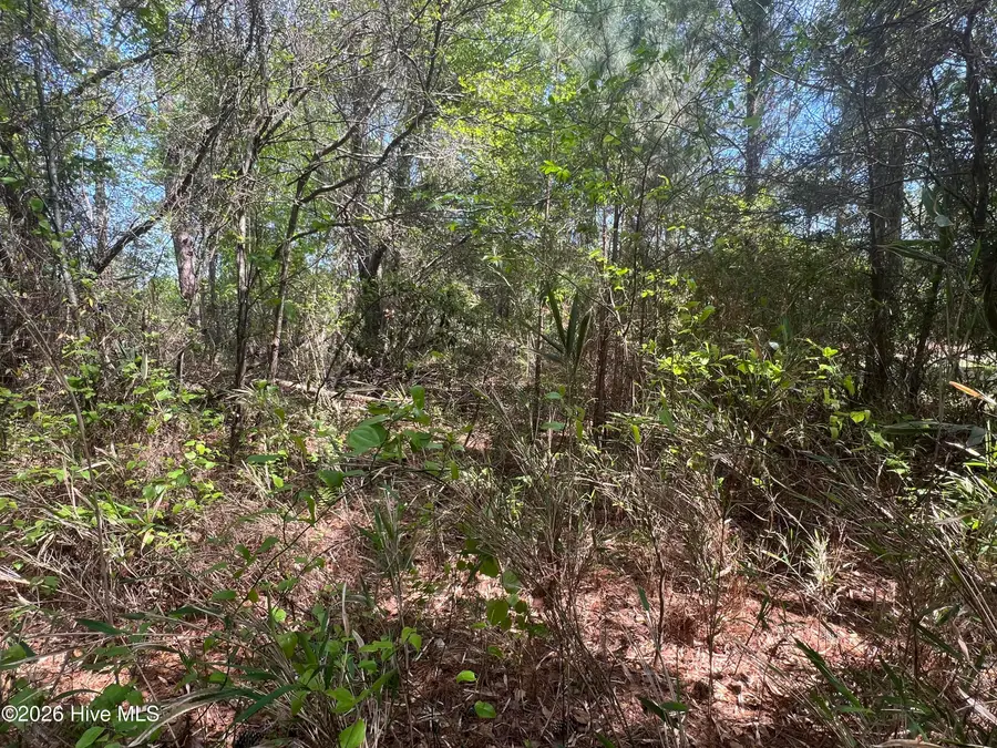 0 Perkins Drive, Hampstead, NC 28443 - #2