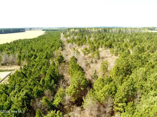 0 Black Mingle Road, Gates, NC 27937