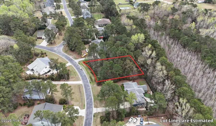 135 Hydrangea Lane, Hampstead, NC 28443 - #2