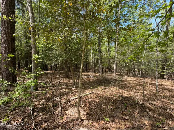 1012r Cedar Lane, Seven Lakes, NC 27376