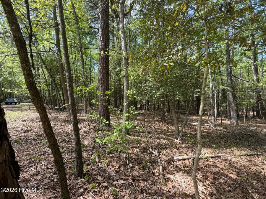 1012r Cedar Lane, Seven Lakes, NC 27376 - #2