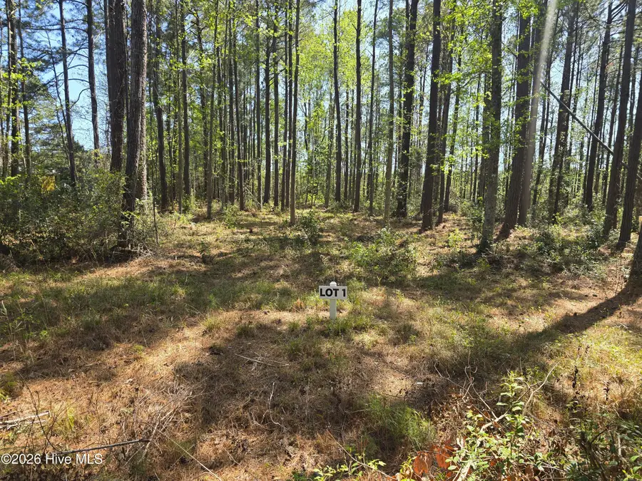 Lot 1 Renee Drive, Hampstead, NC 28443 - #2