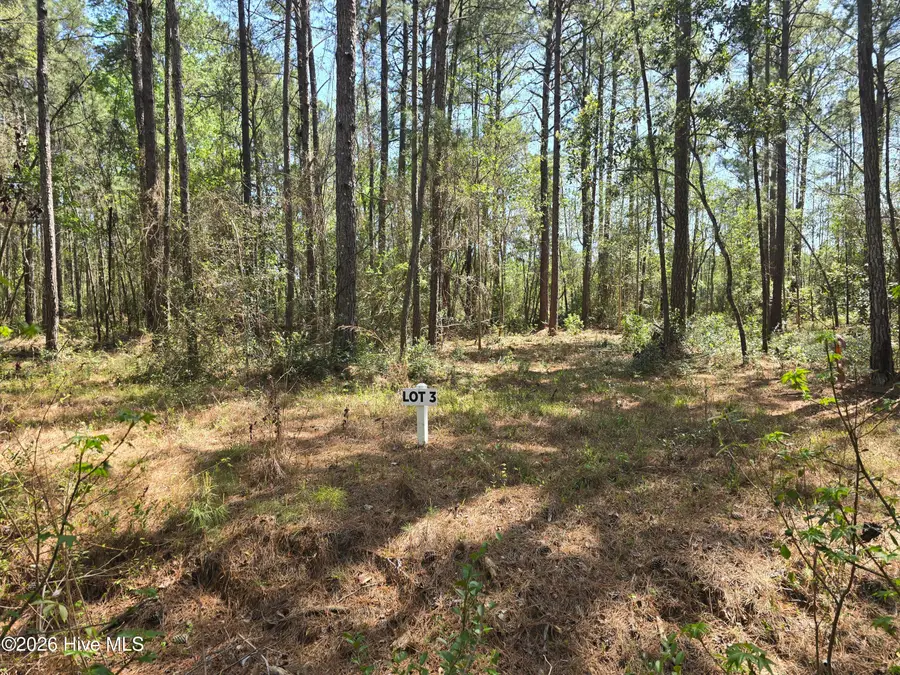 Lot 3 Renee Drive, Hampstead, NC 28443 - #3