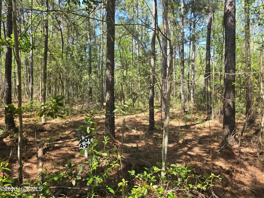 Lot A-20 Renee Drive, Hampstead, NC 28443 - #2