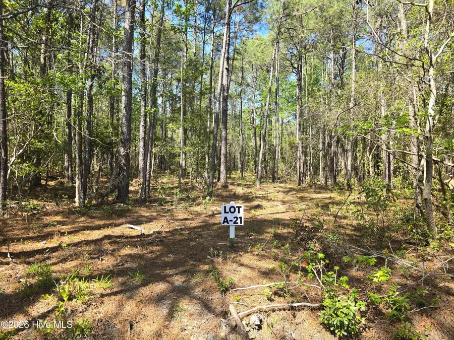 Lot A-21 Renee Drive, Hampstead, NC 28443 - #2
