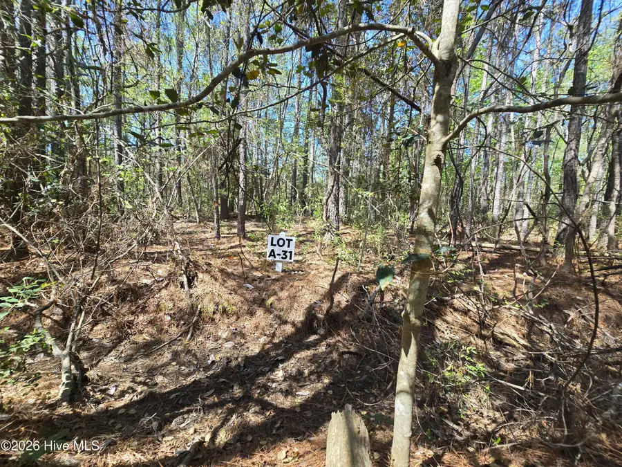 Lot A-31 Renee Drive, Hampstead, NC 28443 - #3