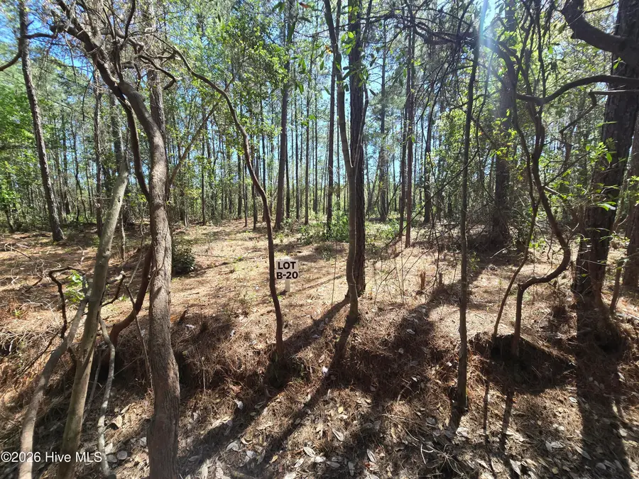 Lot B-20 Renee Drive, Hampstead, NC 28443 - #3