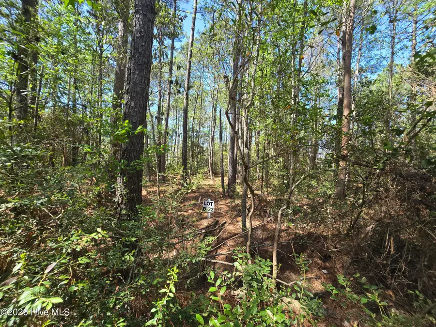 Lot B-22 Renee Drive, Hampstead, NC 28443 - #2