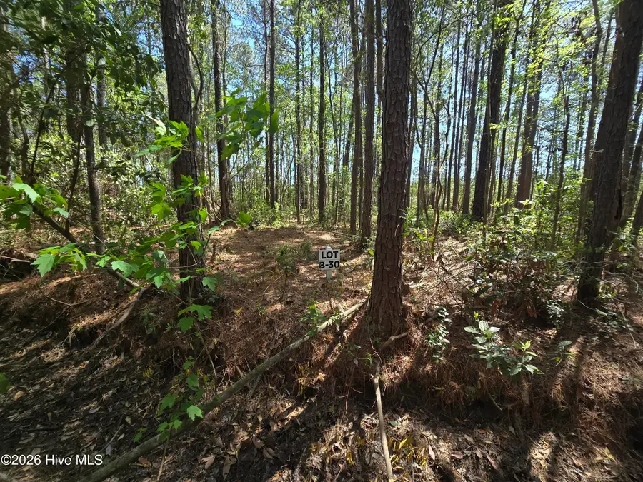 Lot B-30 Renee Drive, Hampstead, NC 28443 - #3