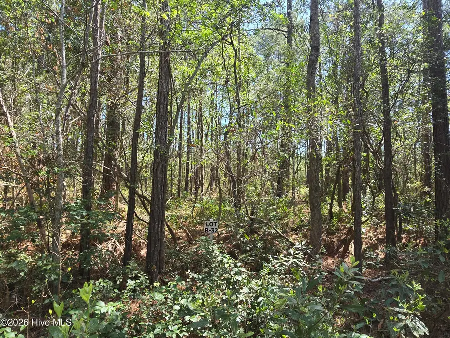 Lot B-32 Renee Drive, Hampstead, NC 28443 - #3