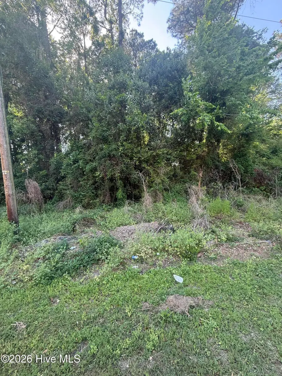 412 S Thompson Street, Whiteville, NC 28472 - #2