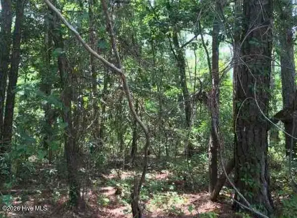 4632 Bluff Drive, Shallotte, NC 28470