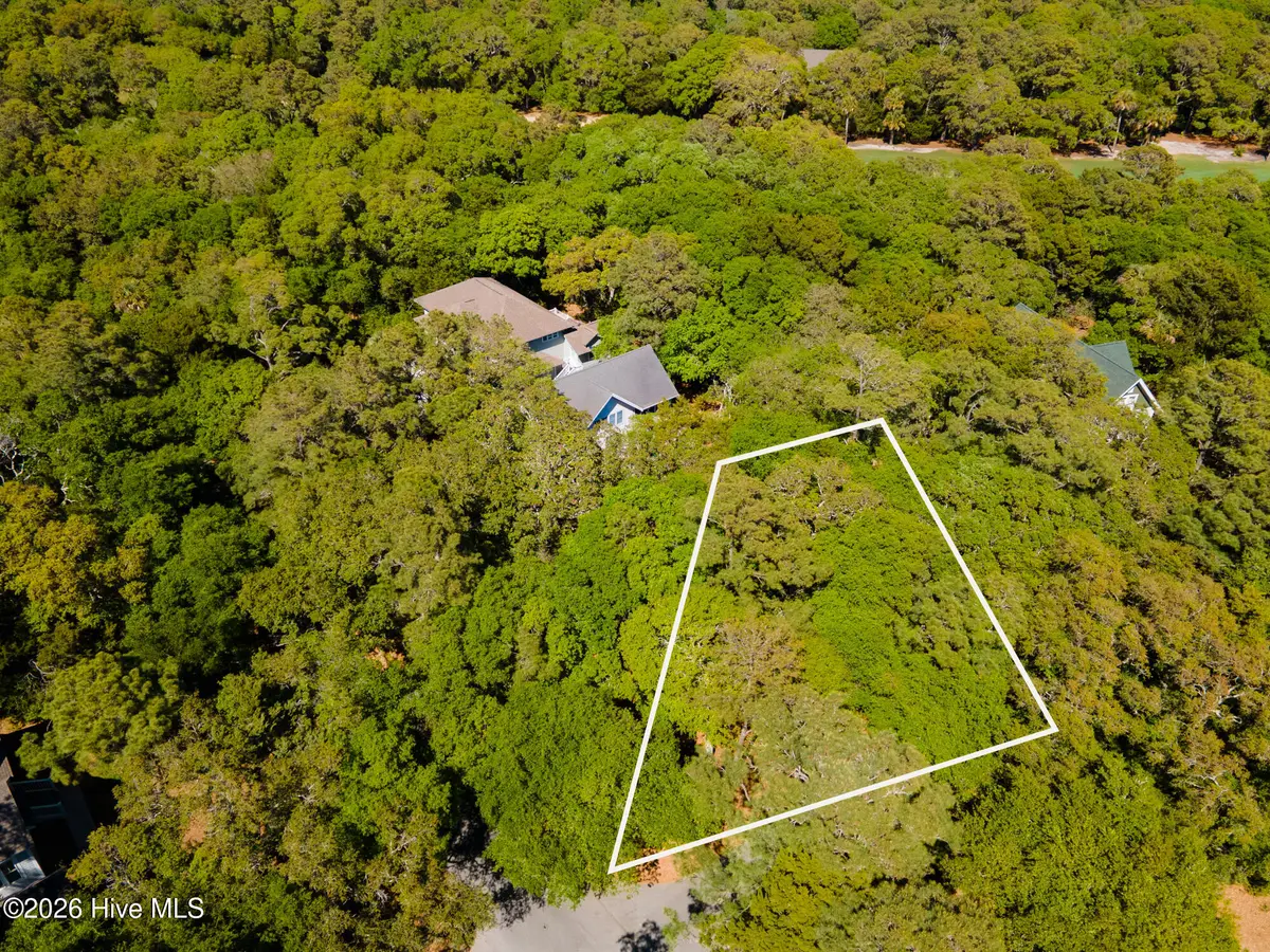 1 Sabal Palm Trail, Bald Head Island, NC 28461 - #1