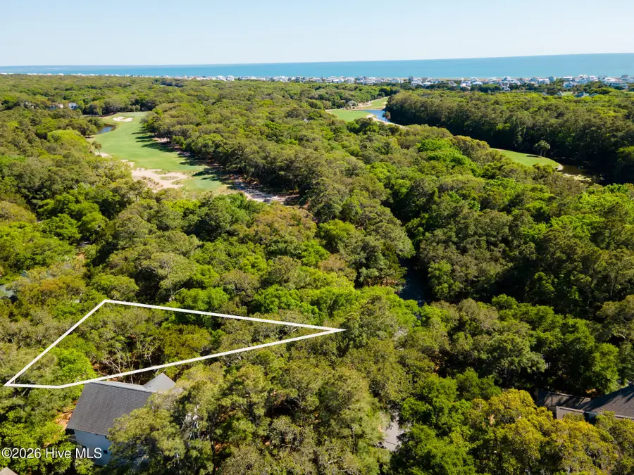 1 Sabal Palm Trail, Bald Head Island, NC 28461 - #3
