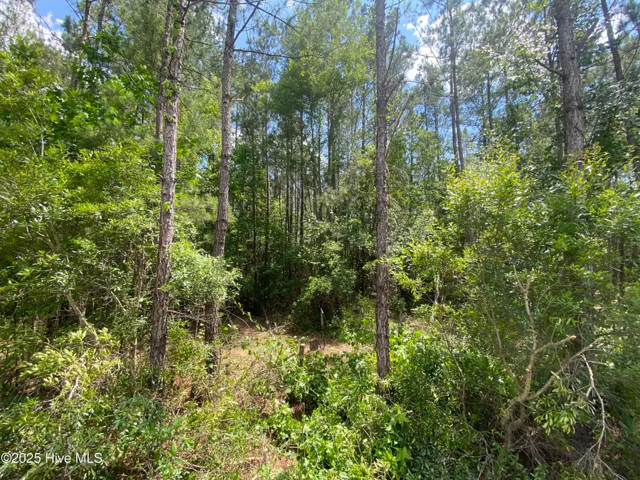 8891 Millers Path Ne, Leland, NC 28451 - #2