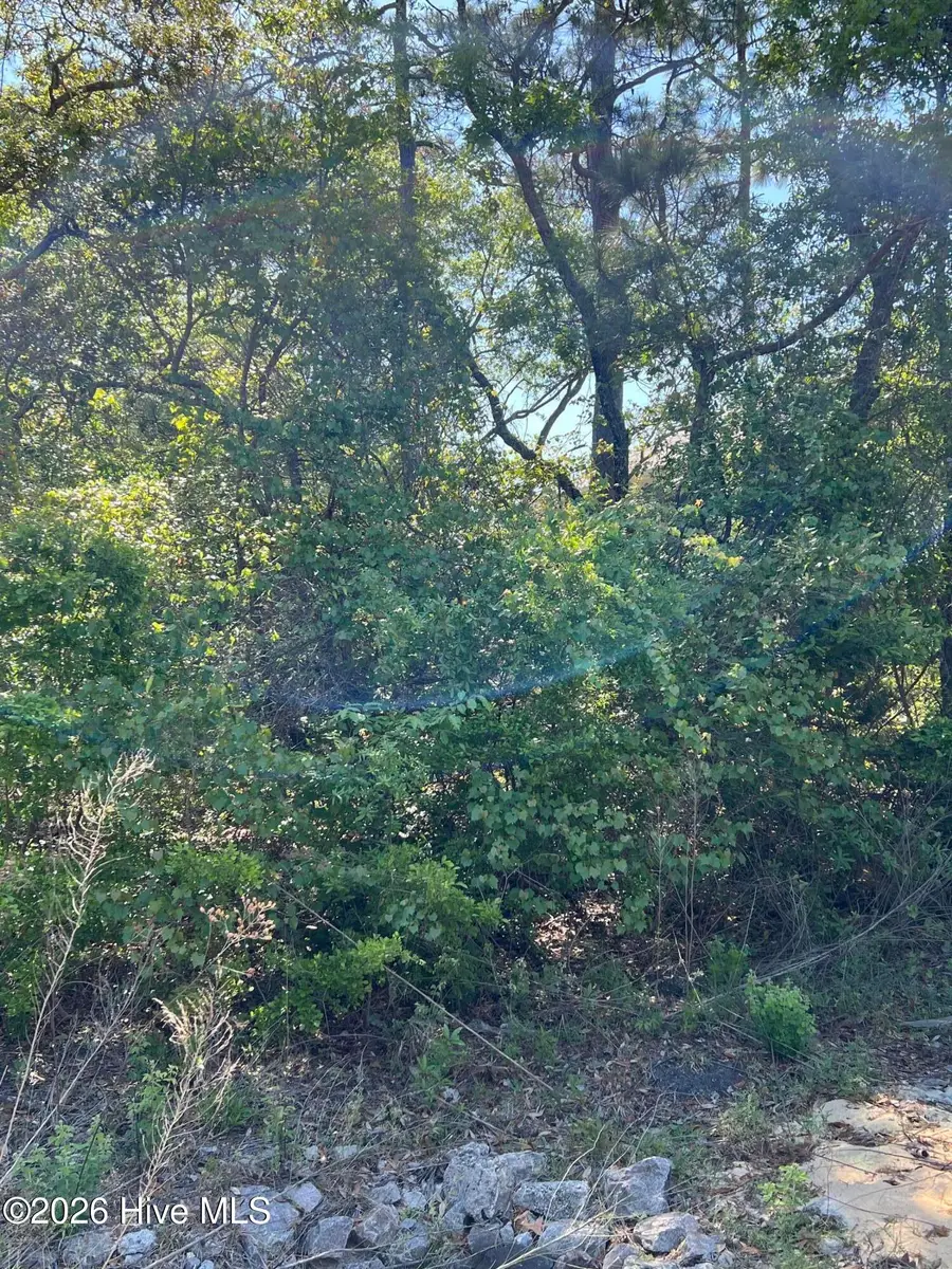 306 NE 41st Street, Oak Island, NC 28465 - #3