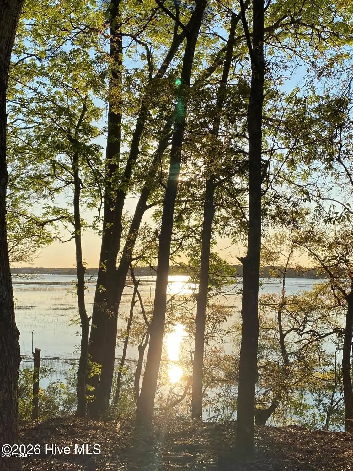 1955 Russell Hewett Road Sw, Supply, NC 28462 - #1