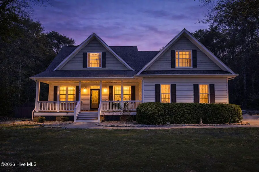 804 Albatross Way, Hampstead, NC 28443 - #2