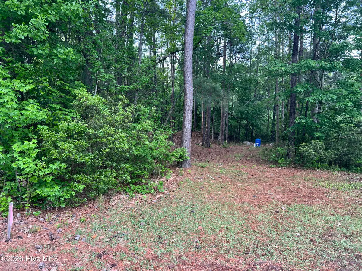 110 Rustic Court, Hampstead, NC 28443 - #1