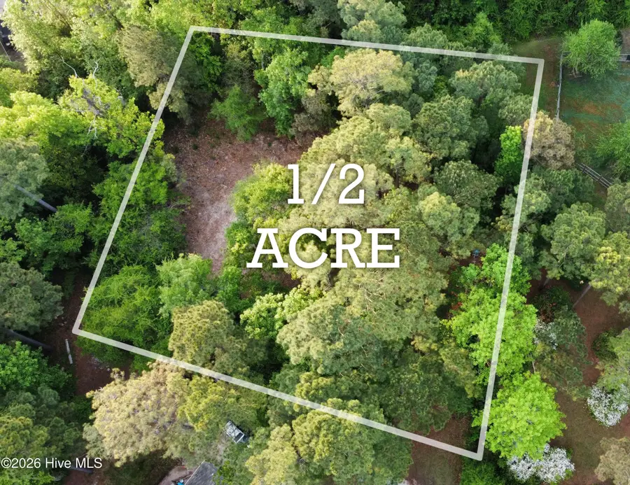 110 Rustic Court, Hampstead, NC 28443 - #2