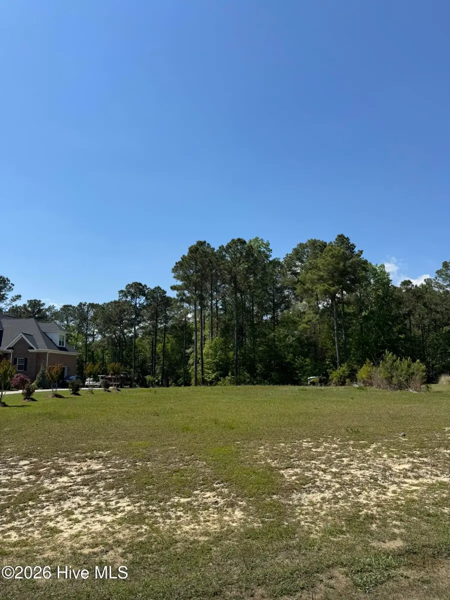 405 Palustris Court, Holly Ridge, NC 28445 - #3