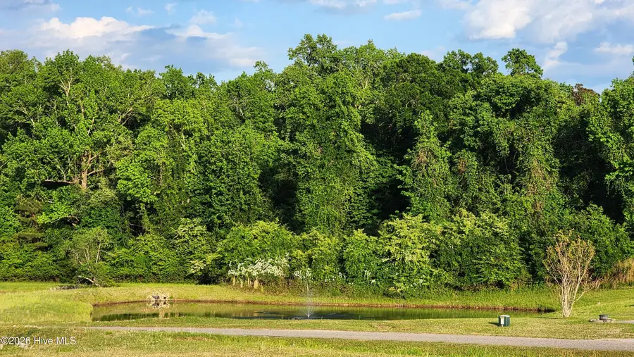 55 Misty Lane, Whiteville, NC 28472 - #3