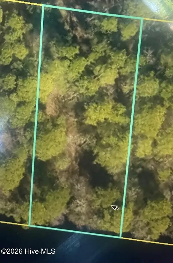 250 S Horsepen Drive, Harrells, NC 28444