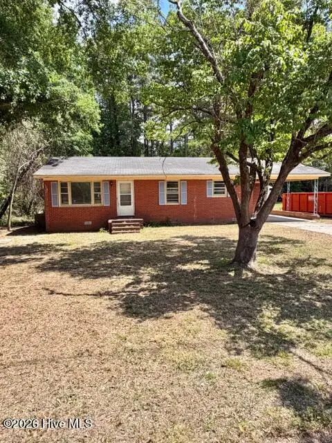 315 Hines Street, Snow Hill, NC 28580 - #1