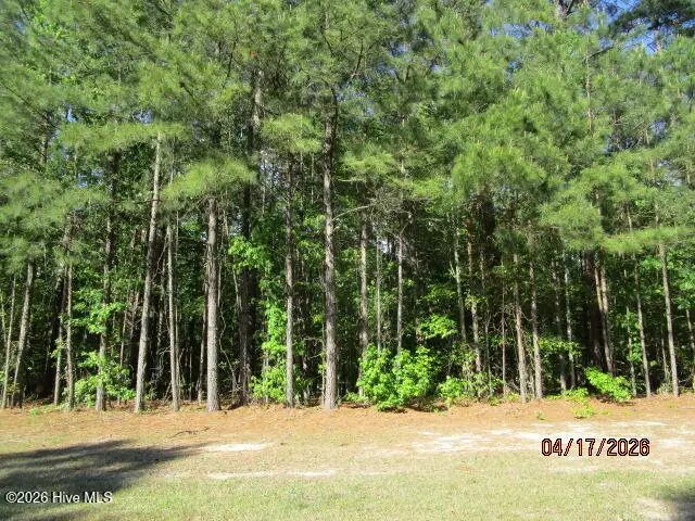 47 Boshers Point Drive, Hertford, NC 27944 - #2