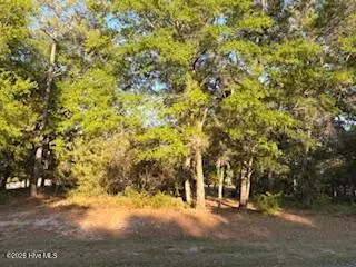 2000 Oyster Harbour Parkway Sw, Supply, NC 28462 - #3