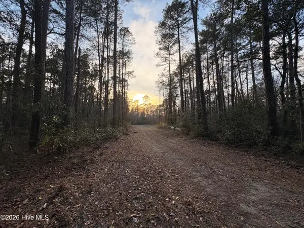 3.98 Acres Pelham Road, Willard, NC 28478