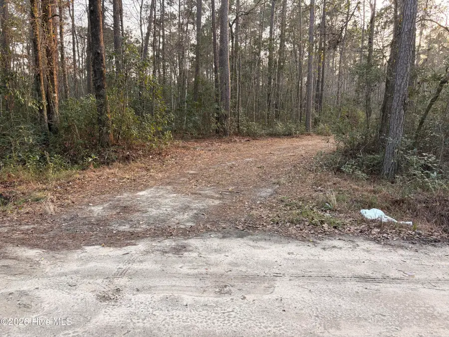 3.98 Acres Pelham Road, Willard, NC 28478 - #3